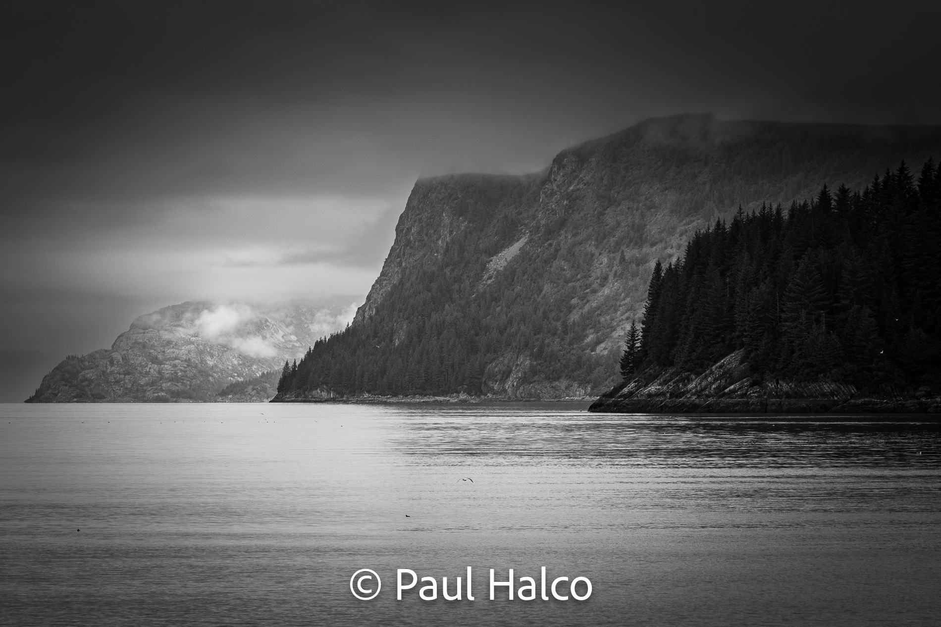 Paul Halco - Glacier Bay NP-15